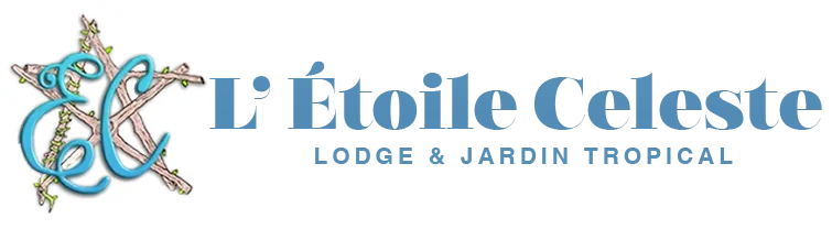 L’ Étoile Celeste